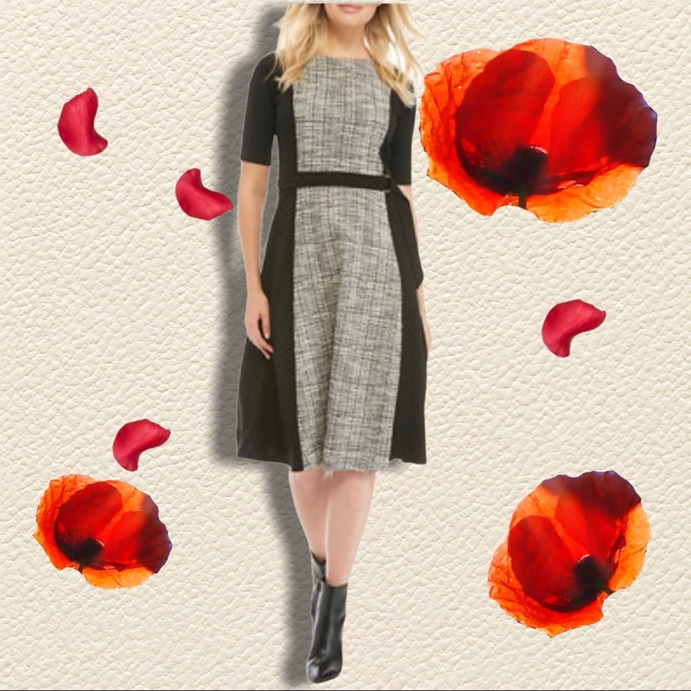 Sandra Darren Color Block Midi Dress